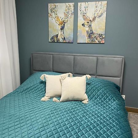 Apartament Sosnowy Zakatek Gliwice Dış mekan fotoğraf