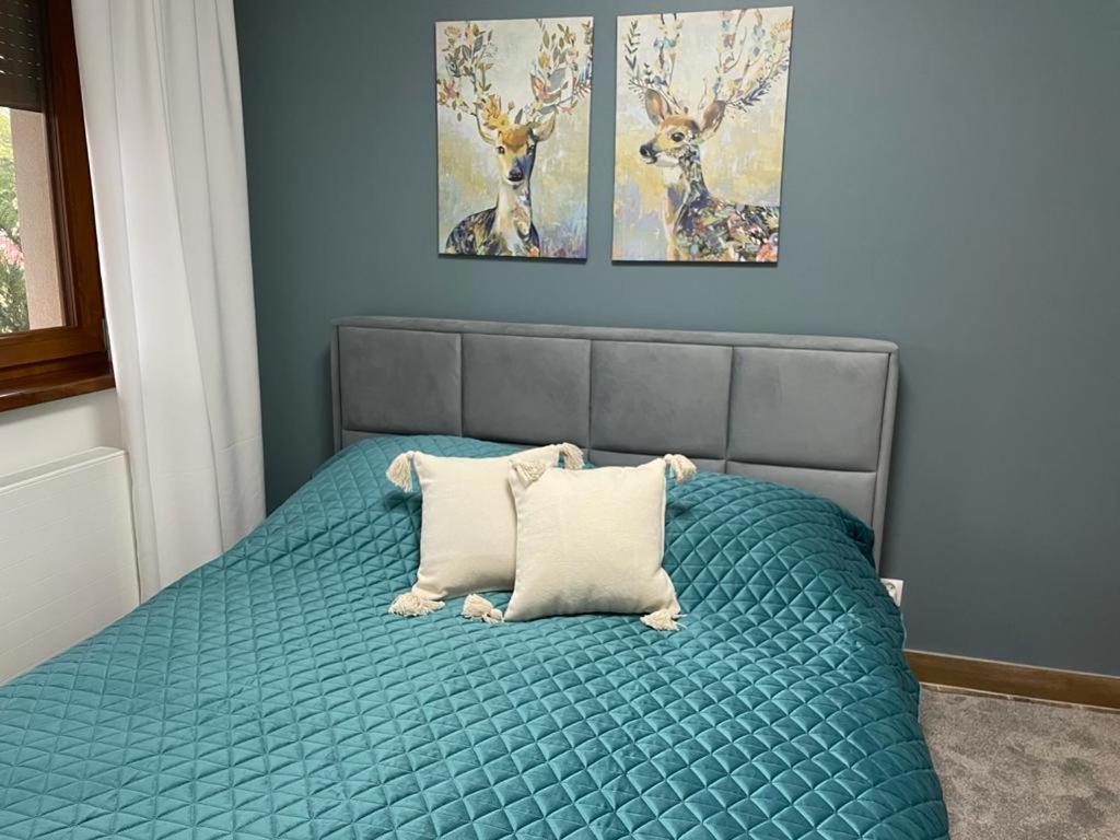 Apartament Sosnowy Zakatek Gliwice Dış mekan fotoğraf